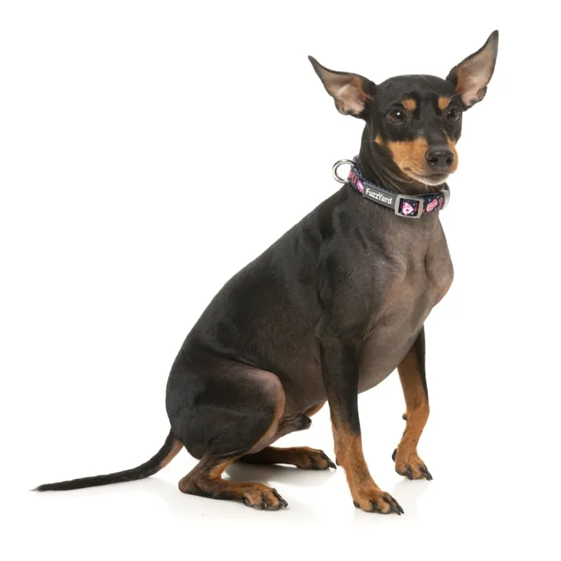 [15% OFF] Fuzzyard Jackpup Dog Collar (3 Sizes)