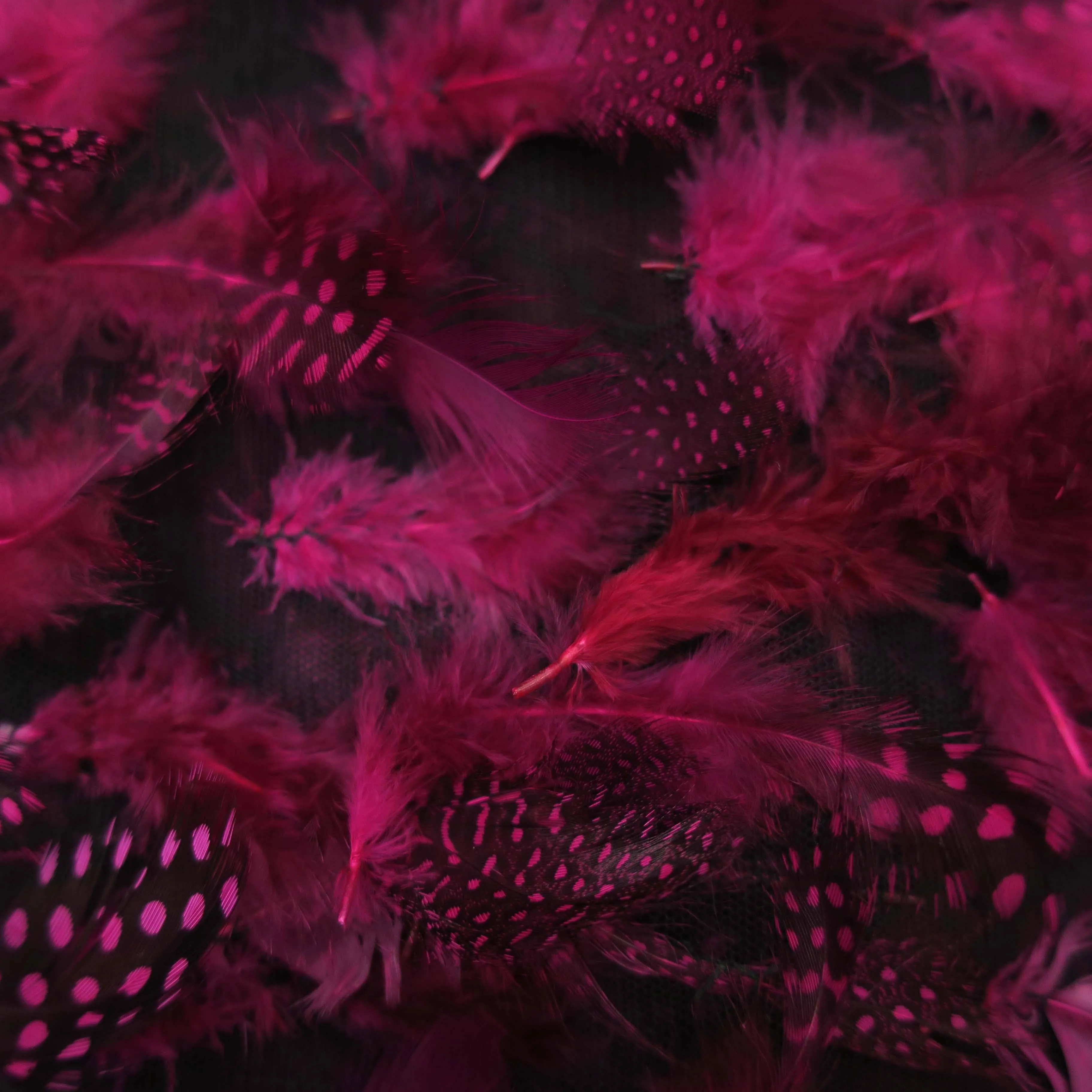 Dark Pink Feathered Embroidered Fashion Fabric